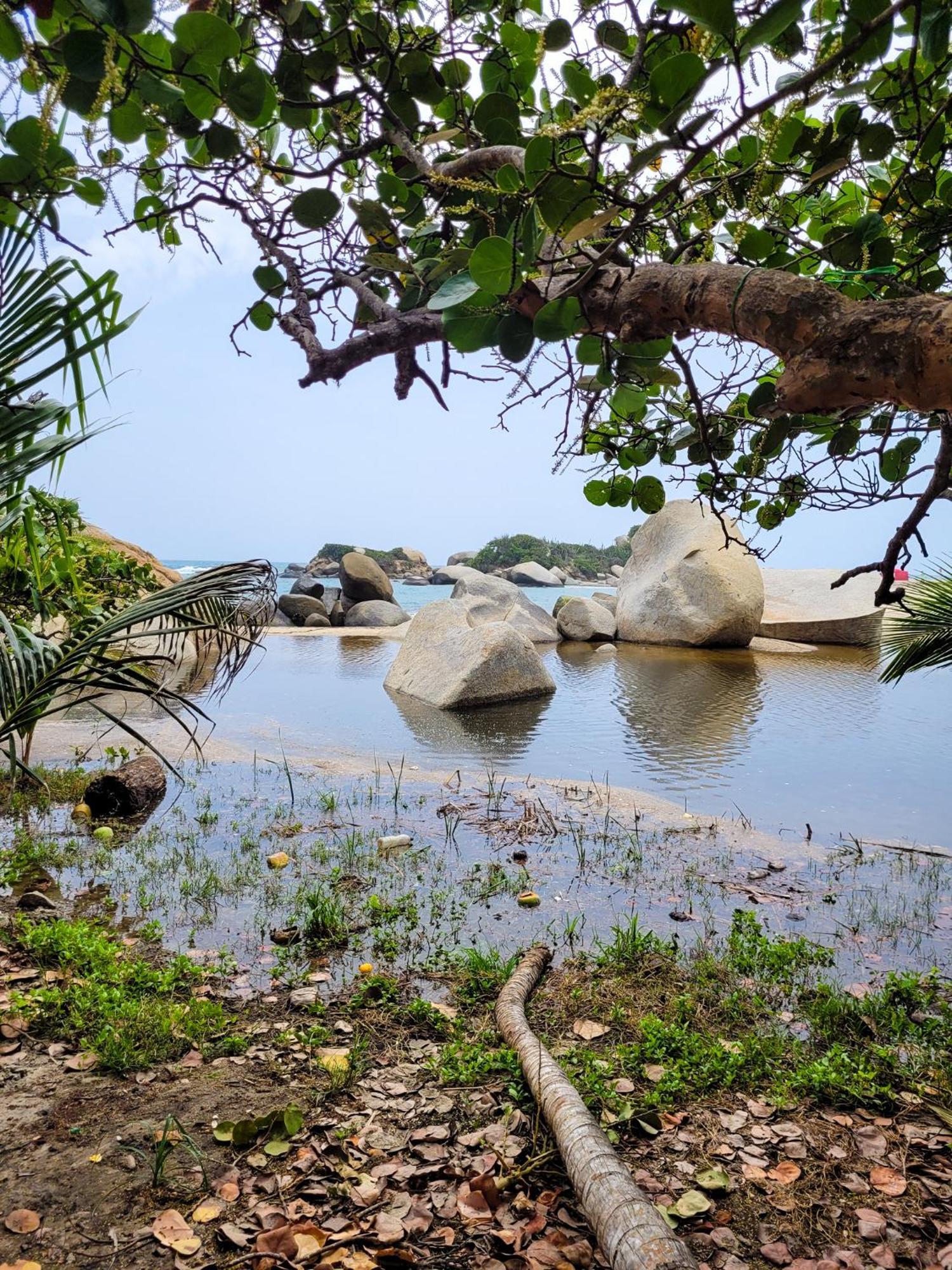 Tayrona Angel Lodge El Zaino Zewnętrze zdjęcie